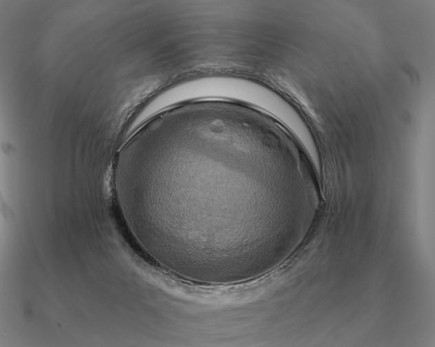 X0000090930023200708061612