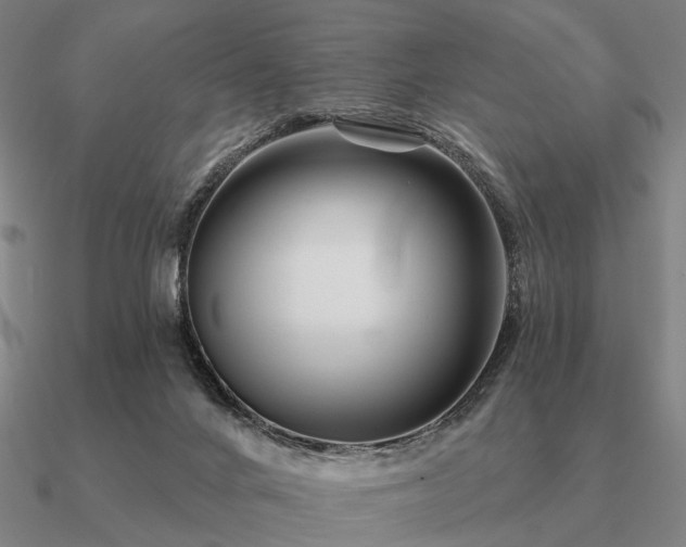 X0000090930024200708061612