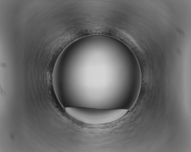 X0000090930025200708061612