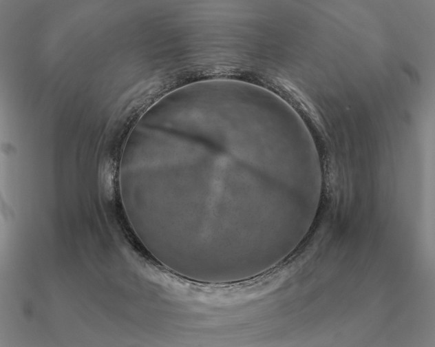 X0000090930026200708061612