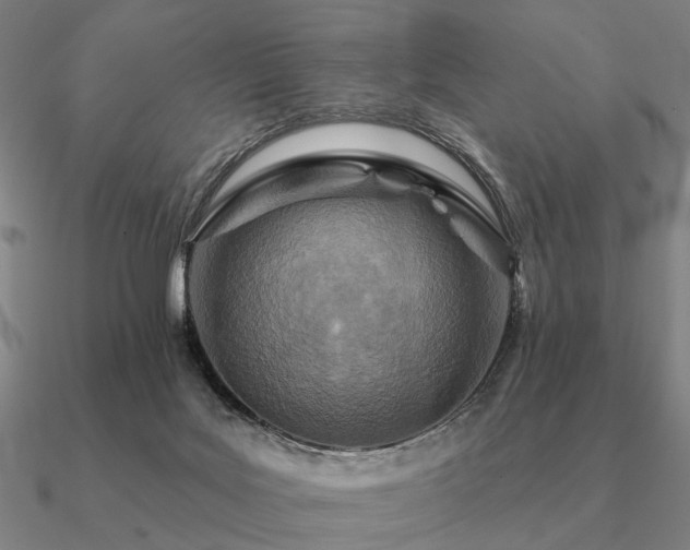 X0000090930027200708061612