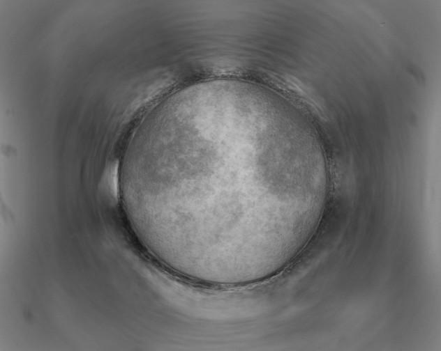 X0000090930028200708061612