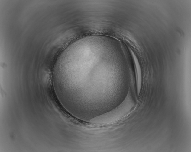 X0000090930029200708061612