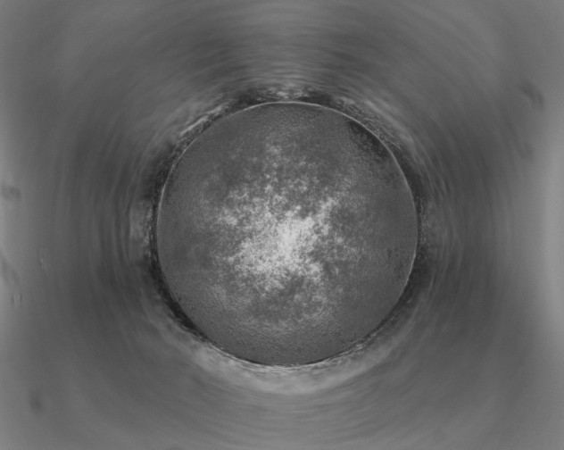 X0000090930030200708061612