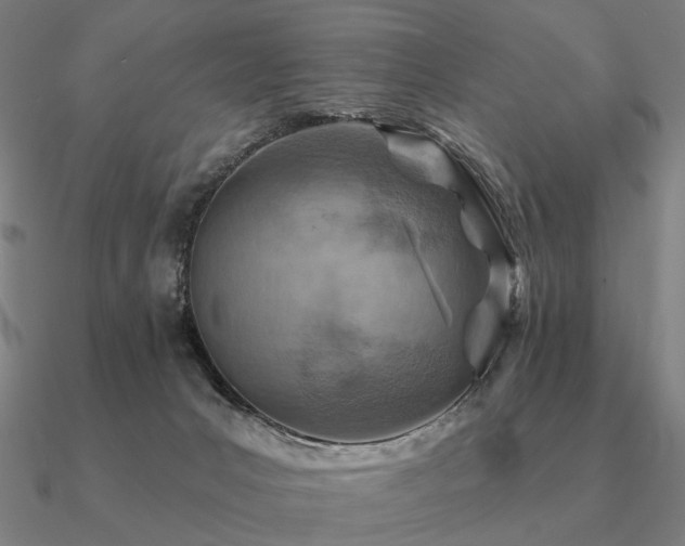 X0000090930031200708061612