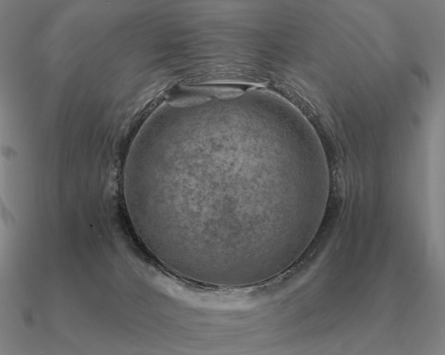 X0000090930032200708061612