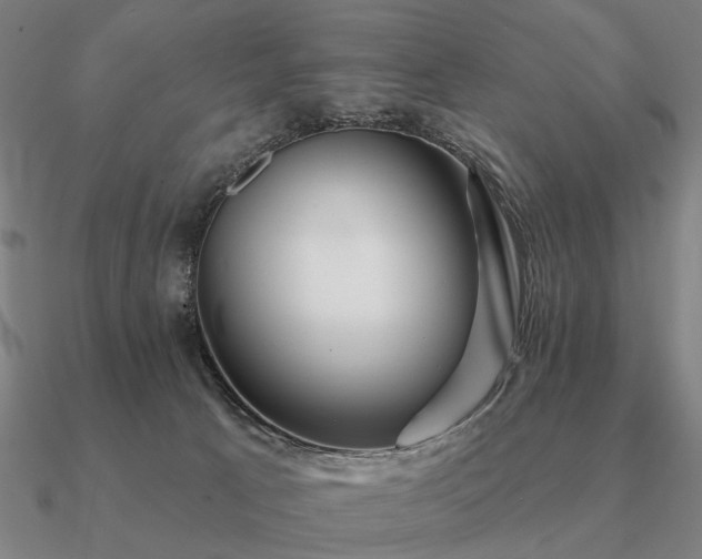 X0000090930033200708061612