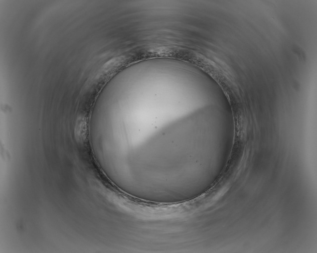 X0000090930036200708061612