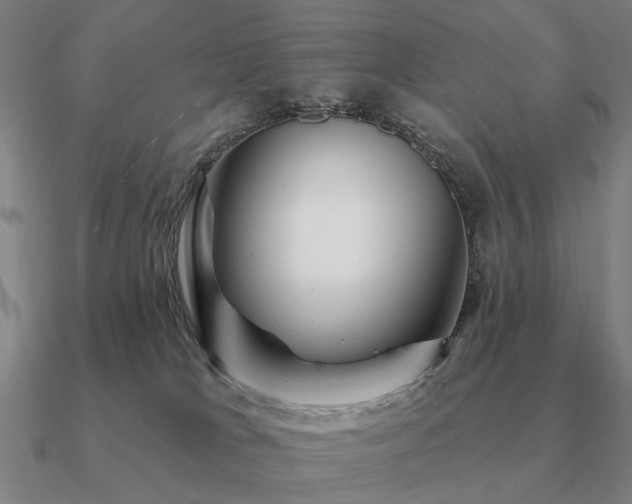 X0000090930037200708061612