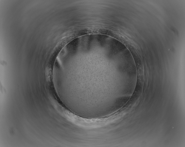 X0000090930038200708061612