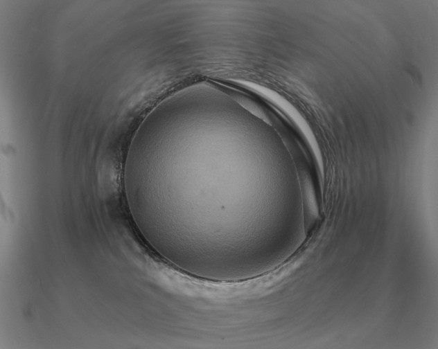 X0000090930039200708061612