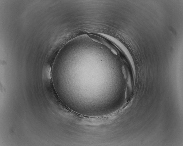 X0000090930041200708061612