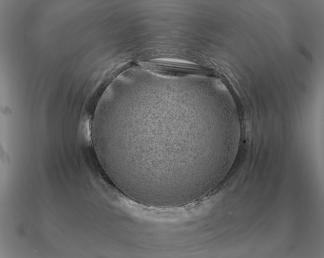 X0000090930042200708061612