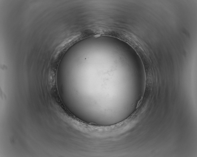 X0000090930043200708061612