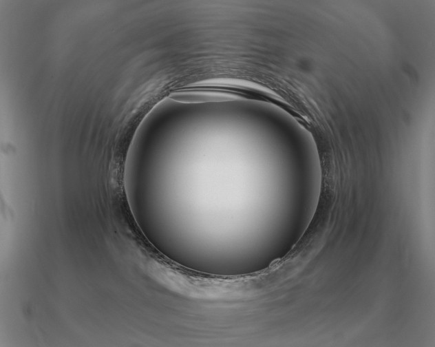 X0000090930044200708061612