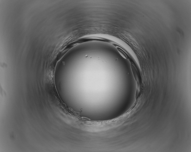 X0000090930045200708061612