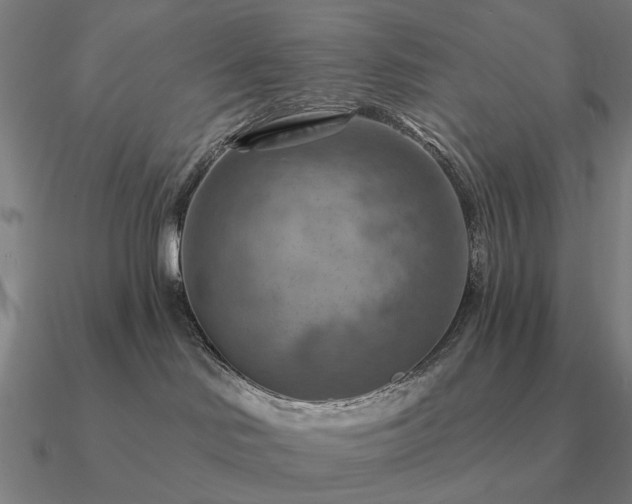 X0000090930046200708061612