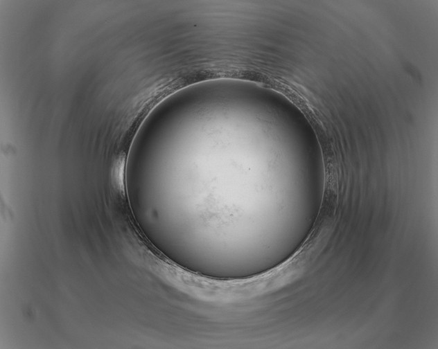 X0000090930047200708061612