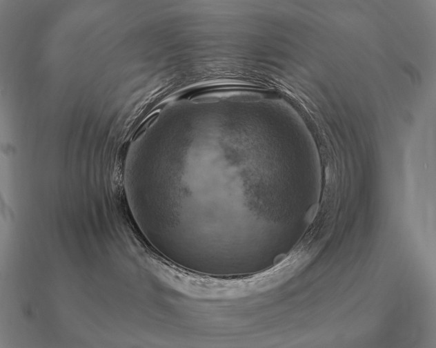 X0000090930048200708061612