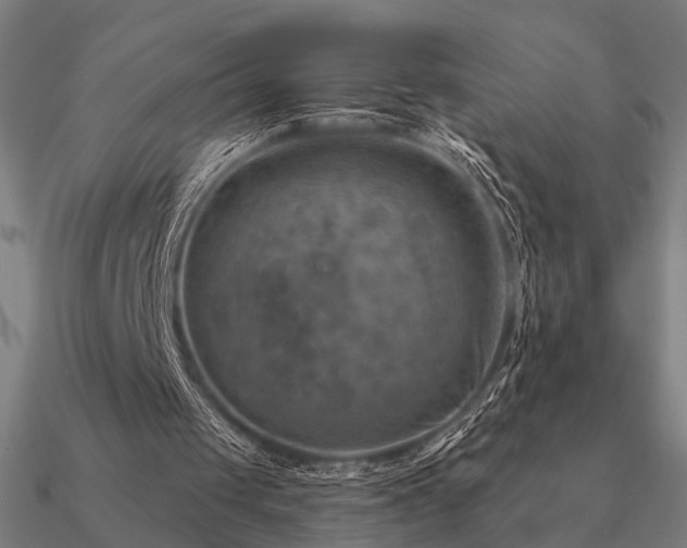 X0000090930049200708061611