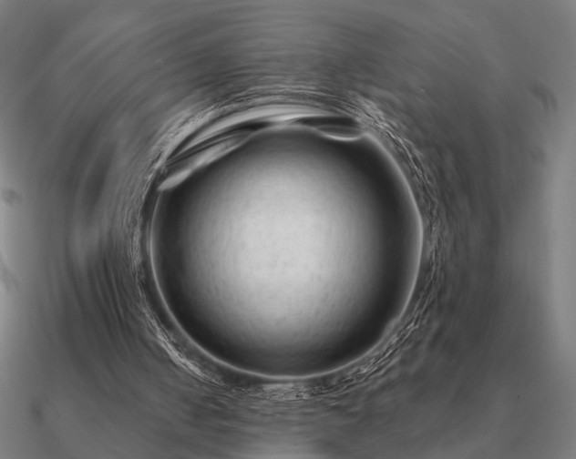 X0000090930050200708061611