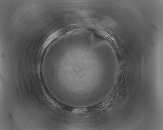 X0000090930051200708061611