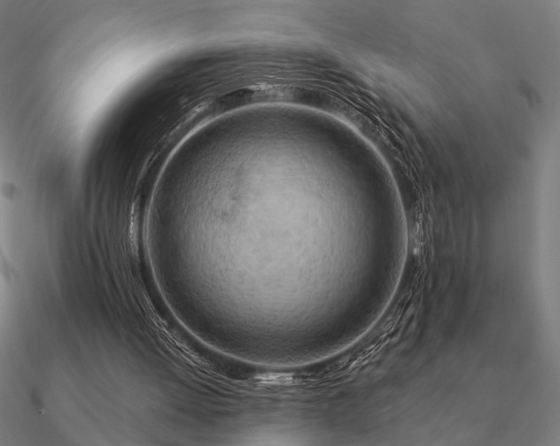 X0000090930052200708061611