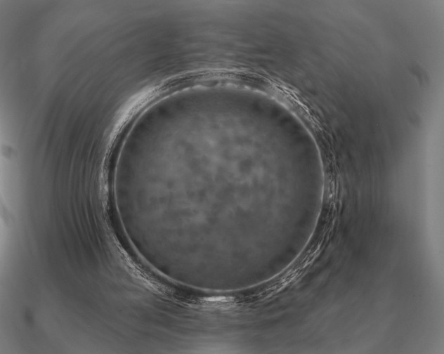 X0000090930053200708061611