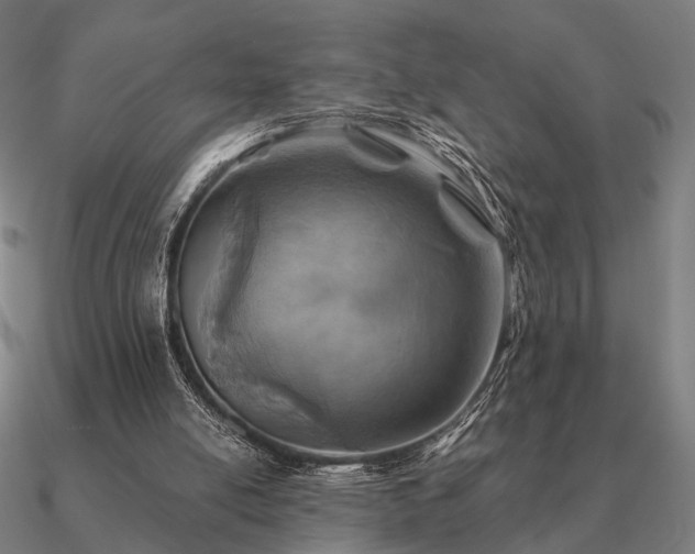 X0000090930054200708061611