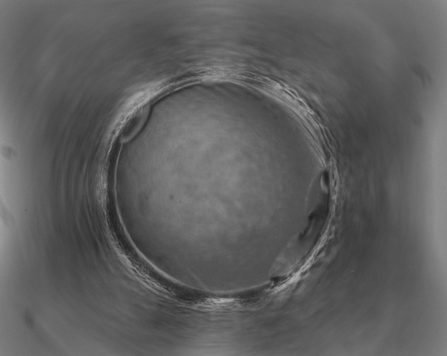 X0000090930055200708061611