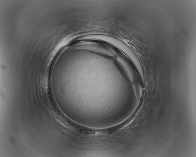 X0000090930056200708061611