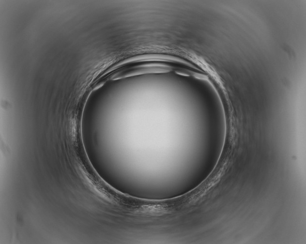 X0000090930057200708061611