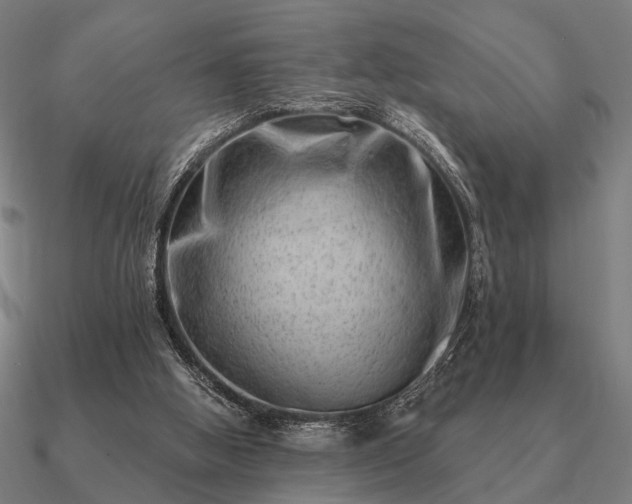 X0000090930058200708061611