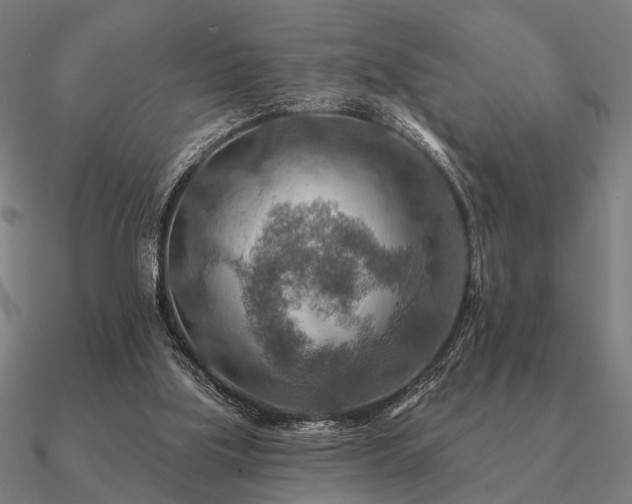 X0000090930059200708061611