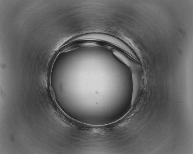 X0000090930060200708061611