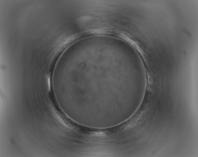 X0000090930061200708061611