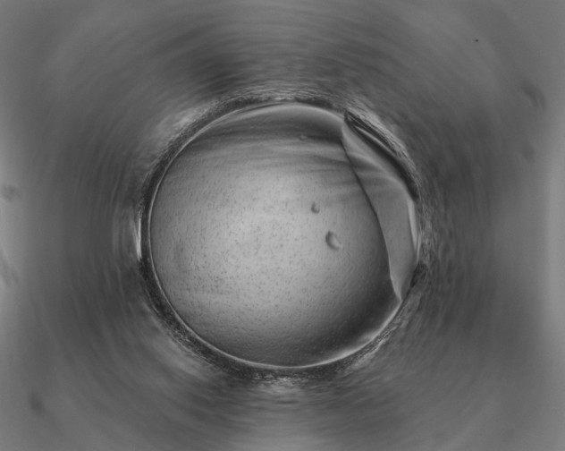 X0000090930062200708061611