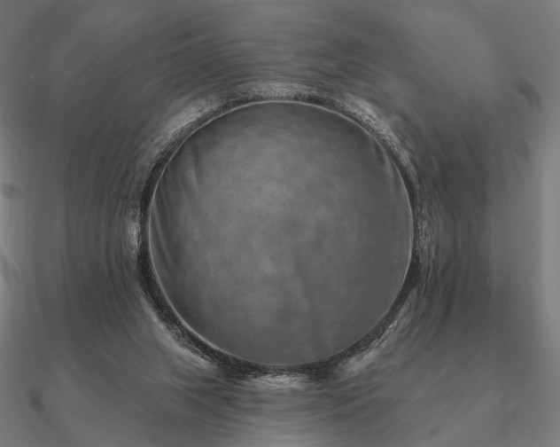 X0000090930063200708061611