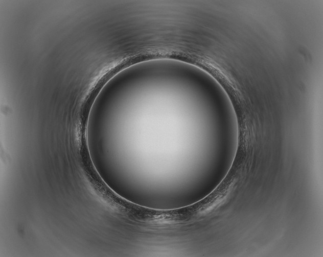 X0000090930064200708061611