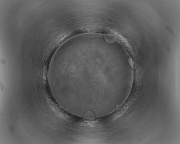 X0000090930065200708061611