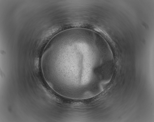 X0000090930066200708061611