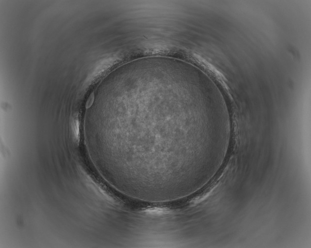 X0000090930067200708061611