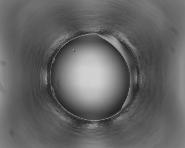 X0000090930068200708061611