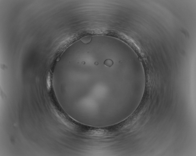 X0000090930069200708061611