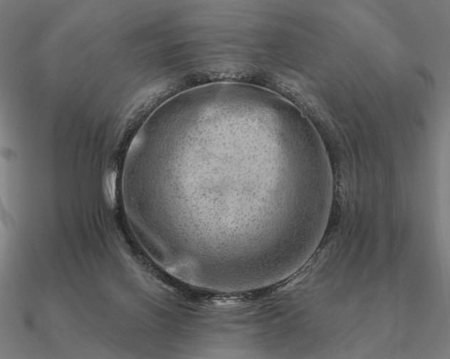 X0000090930070200708061611