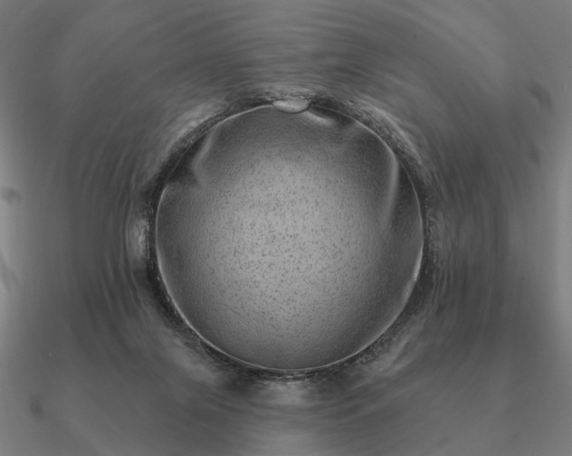 X0000090930071200708061611