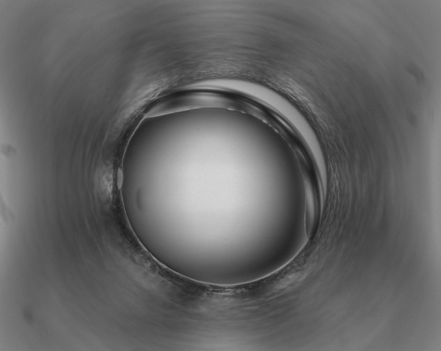 X0000090930072200708061611