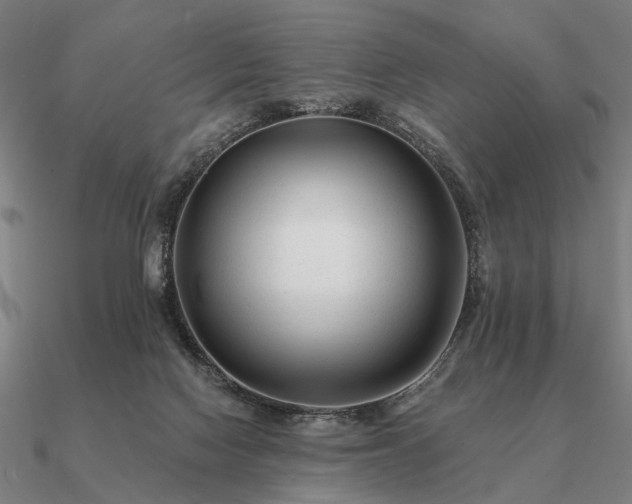 X0000090930074200708061611