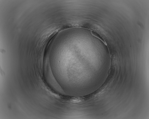 X0000090930076200708061611