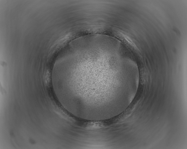 X0000090930077200708061611